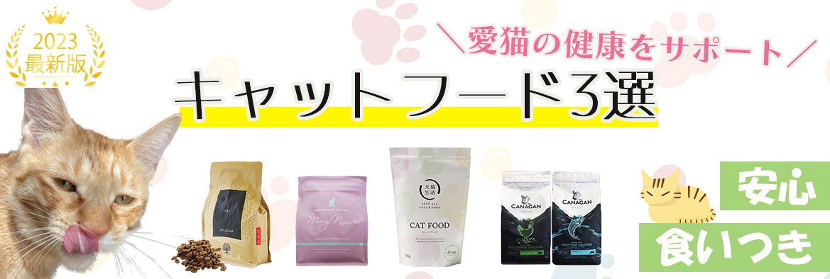 当サイト管理者と猫ちゃん紹介