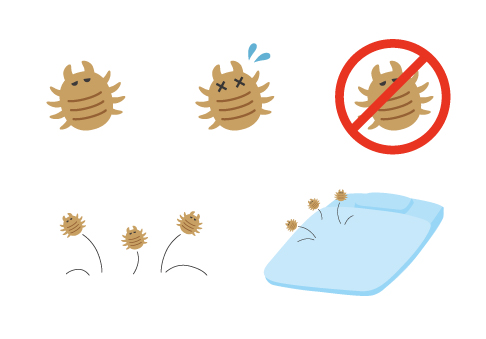豊富な追加オプション