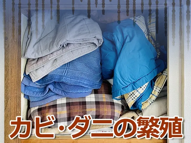 カビやダニだらけの布団による影響