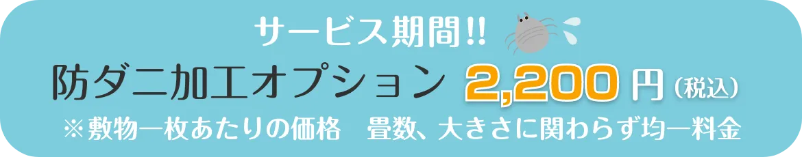 クリコム追加オプション_カーペット