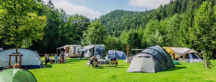 ブランド・素材に関係なく一律料金