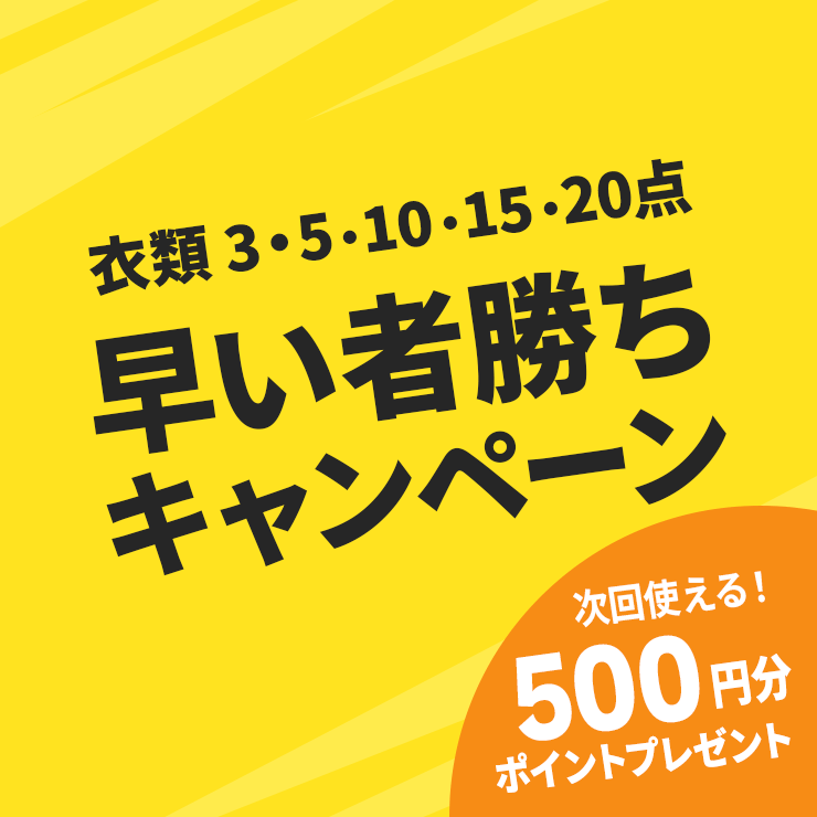 早い者勝ち500ポイントおまけキャンペーン