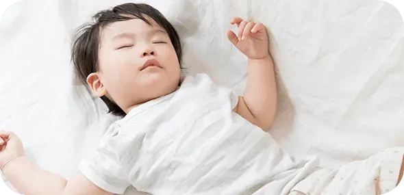 ダニの除去率99.5%