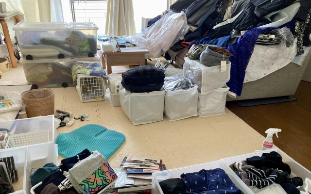 全部同じ箱にドーン！の「究極のMIXパック」がオススメ！！