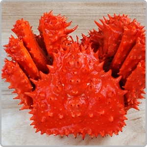 花咲がにをお探しの方