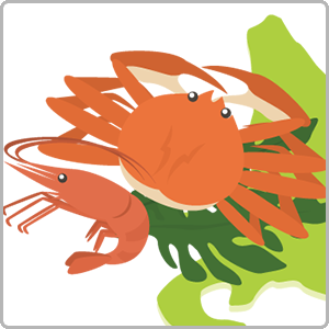 北海道の海の幸を堪能したい方