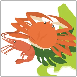 北海道の海の幸を堪能したい方