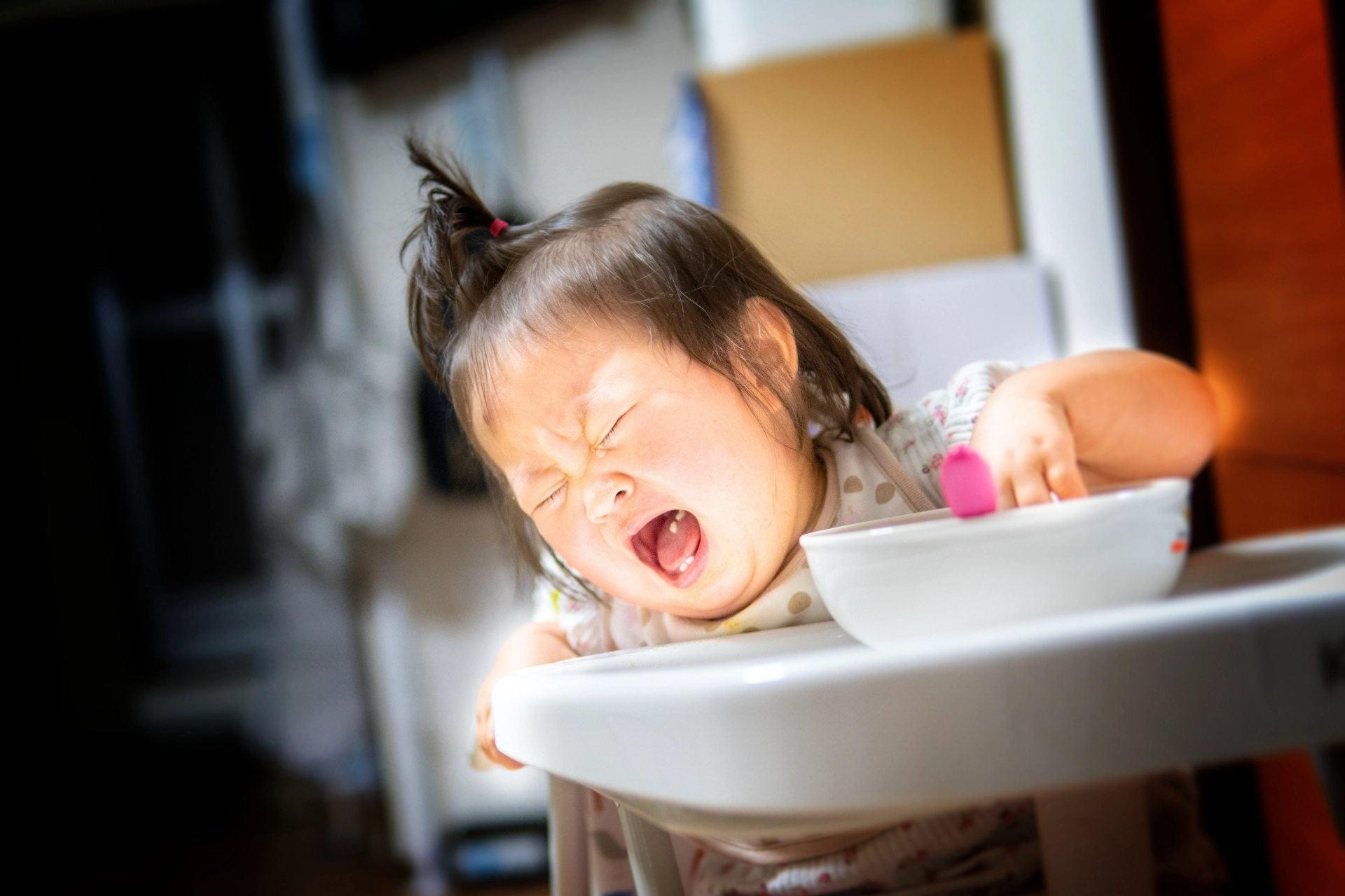 幼児食おすすめランキングBEST3_TOP画像001