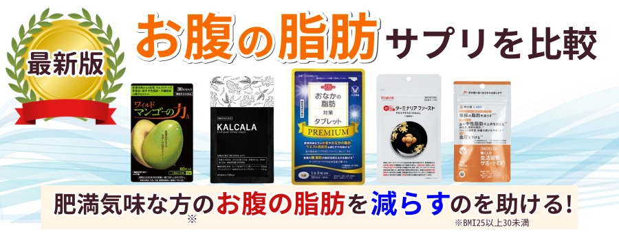 お腹の脂肪対策サプリ