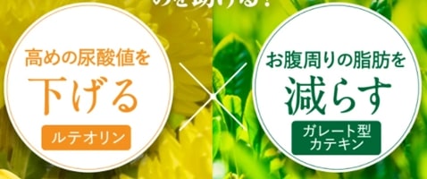 尿酸値を下げるサプリ人気ランキング・通風サプリおすすめ