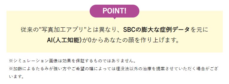 SBC AIシュミュレーション