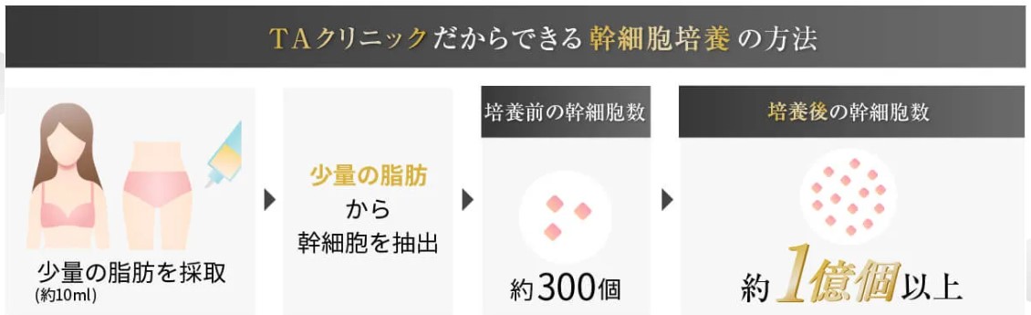 1億個という桁違いな幹細胞