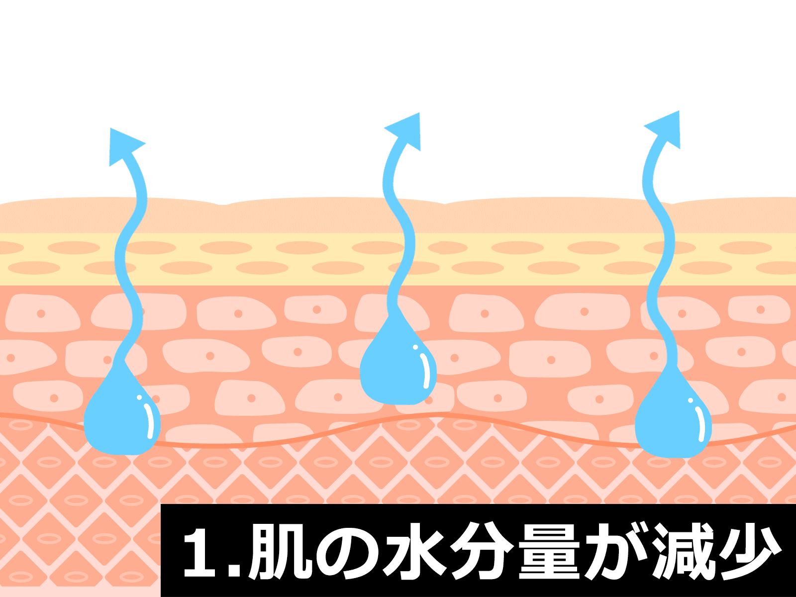マスクと肌荒れの関係2