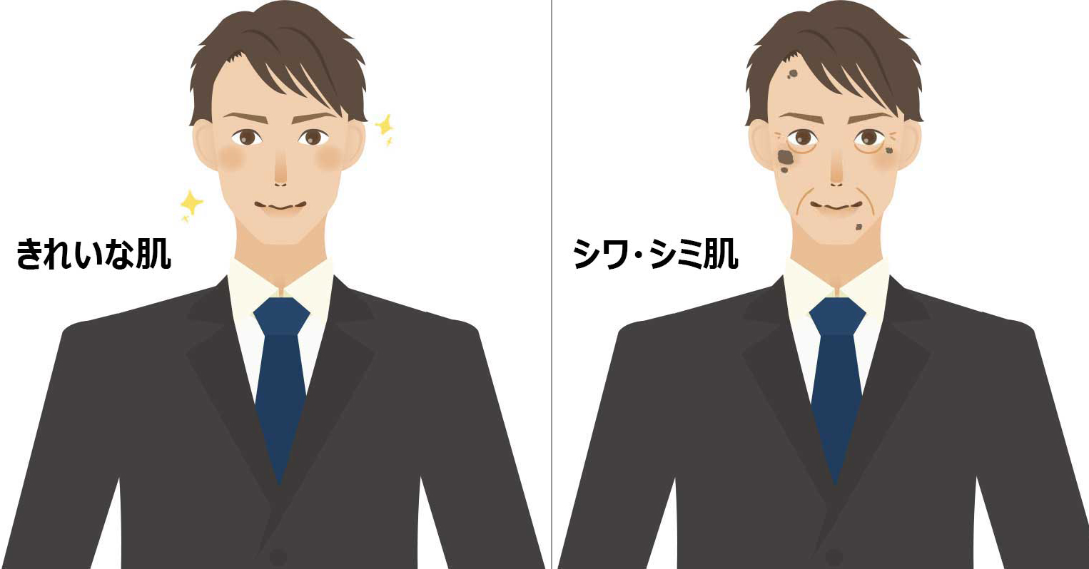 シミイラスト
