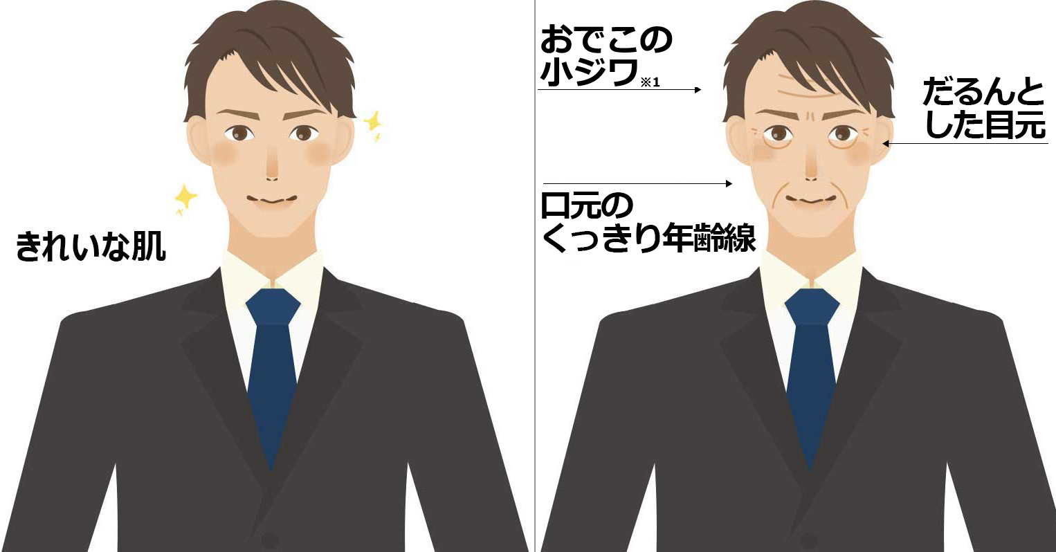 シワイラスト