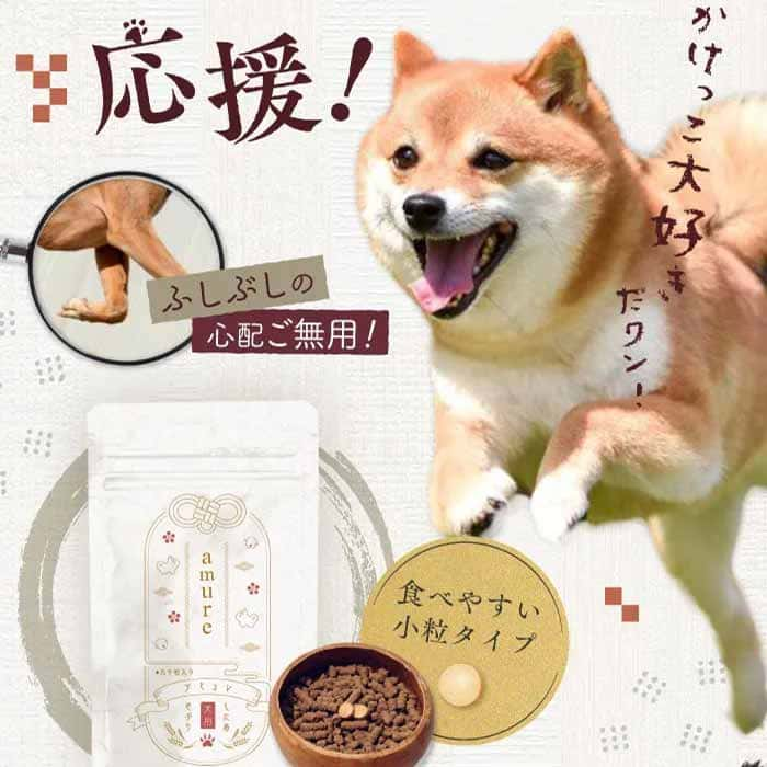 HUGME SHOP ハグミーショップ 犬 アミュレ フード 健康補助食品