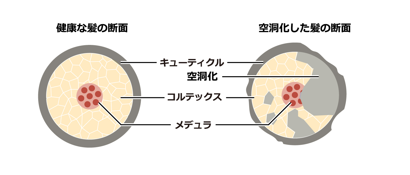 キューティクルは復活しない