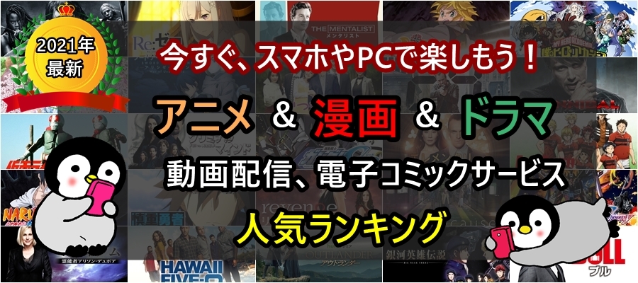 通信容量を使わず見る方法